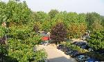 Cliquer ici pour agrandir la photo de la chambre 304 - vue de la terrasse du commu